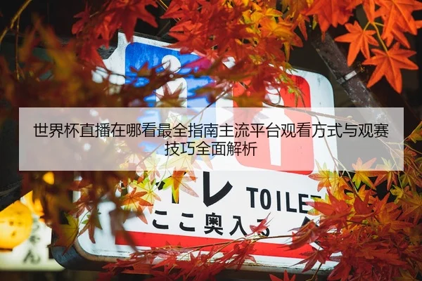 世界杯直播在哪看最全指南主流平台观看方式与观赛技巧全面解析