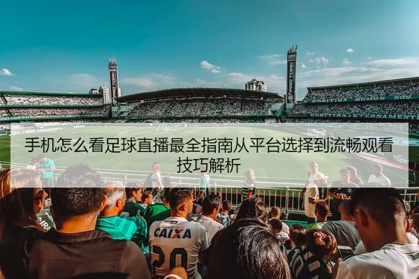 手机怎么看足球直播最全指南从平台选择到流畅观看技巧解析