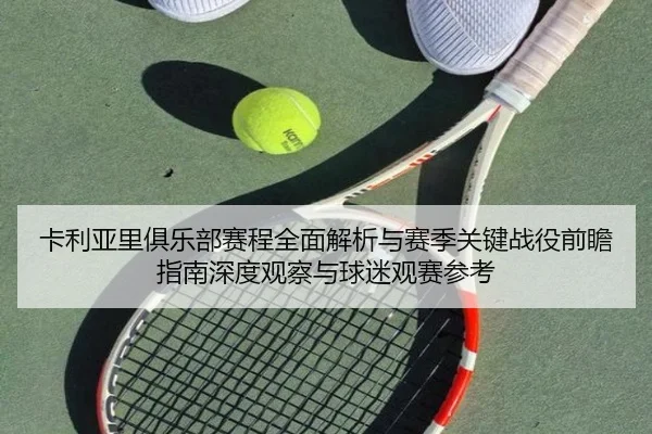 卡利亚里俱乐部赛程全面解析与赛季关键战役前瞻指南深度观察与球迷观赛参考