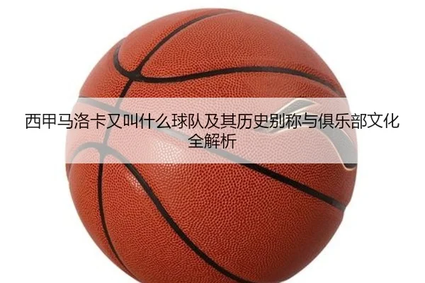 xi-jia-ma-luo-ka-you-jiao-shen-me-qiu-dui-ji-qi-li-shi-bie-cheng-yu-ju-le-bu-wen-hua-quan-jie-xi-2-328.jpg
