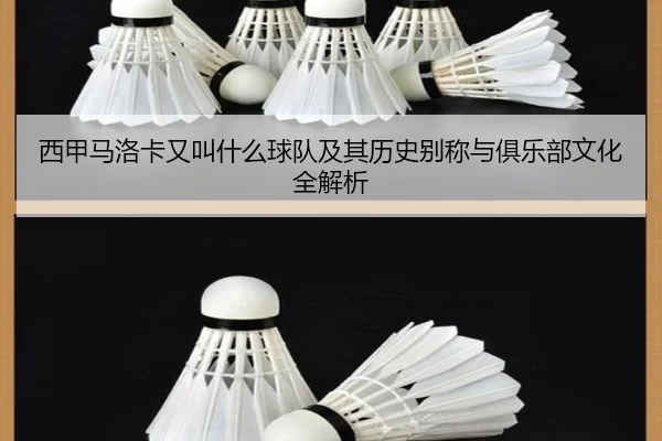 西甲马洛卡又叫什么球队及其历史别称与俱乐部文化全解析