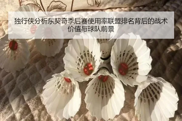 独行侠分析东契奇季后赛使用率联盟排名背后的战术价值与球队前景