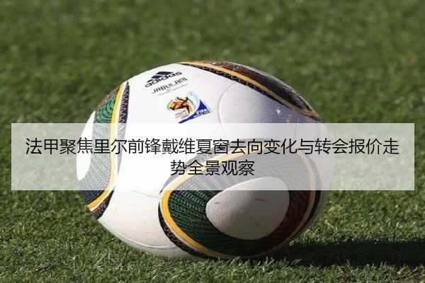 法甲聚焦里尔前锋戴维夏窗去向变化与转会报价走势全景观察